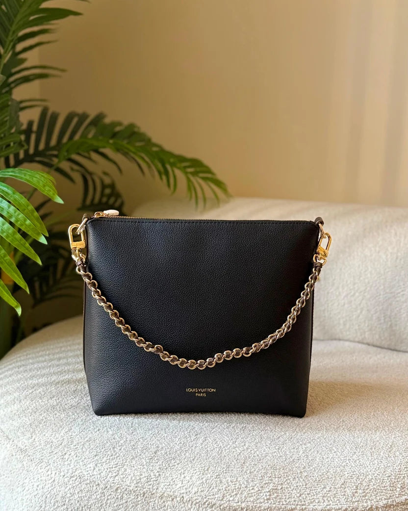 Louis Vuitton Multipass Bag