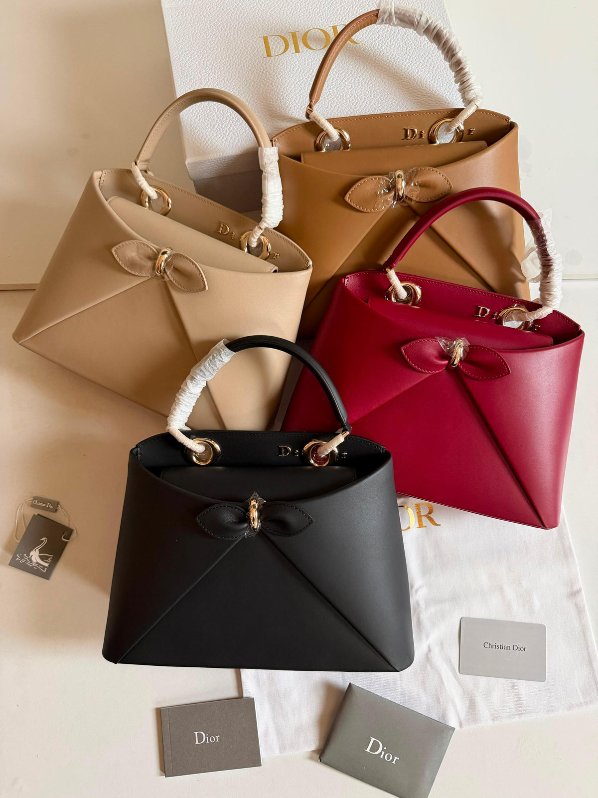 Dior Cigale Bag