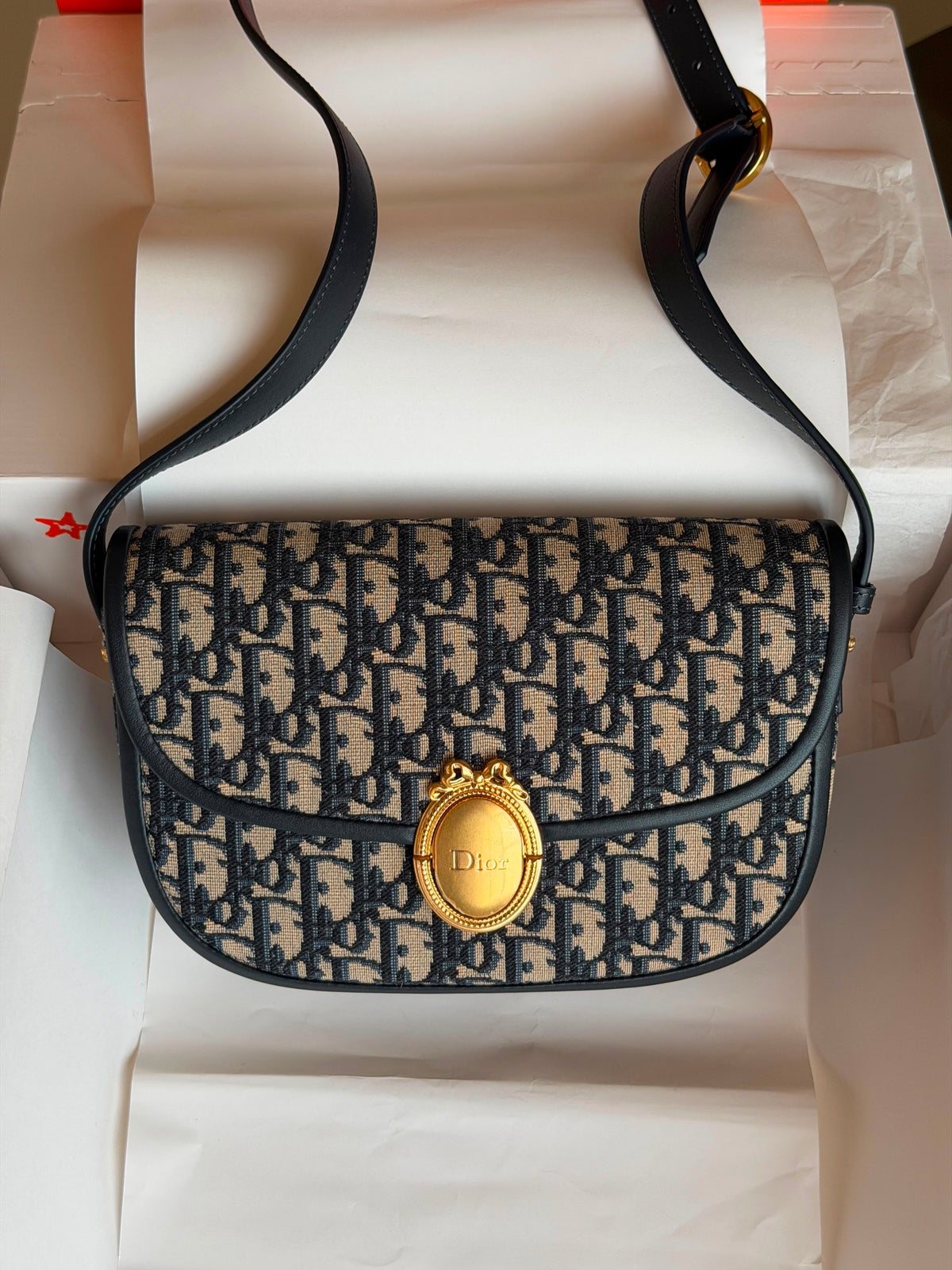Dior Médaillon Flap Bag