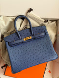 Hermes Birkin 25 cm In ostrich leather