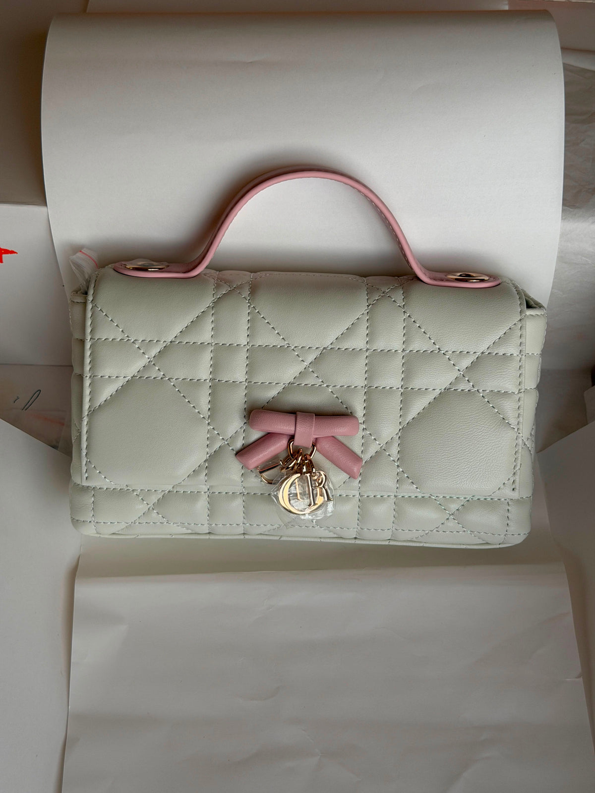 My Tender Dior Top Handle Mini Bag