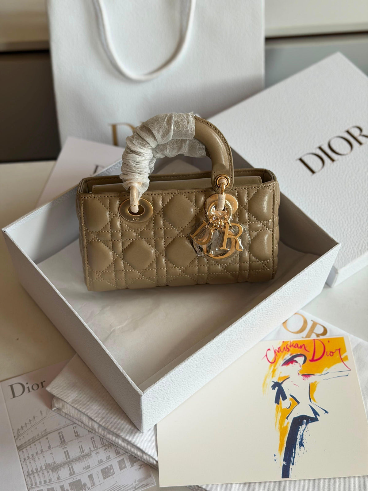 Dior Lady D-Joy Micro Bag
