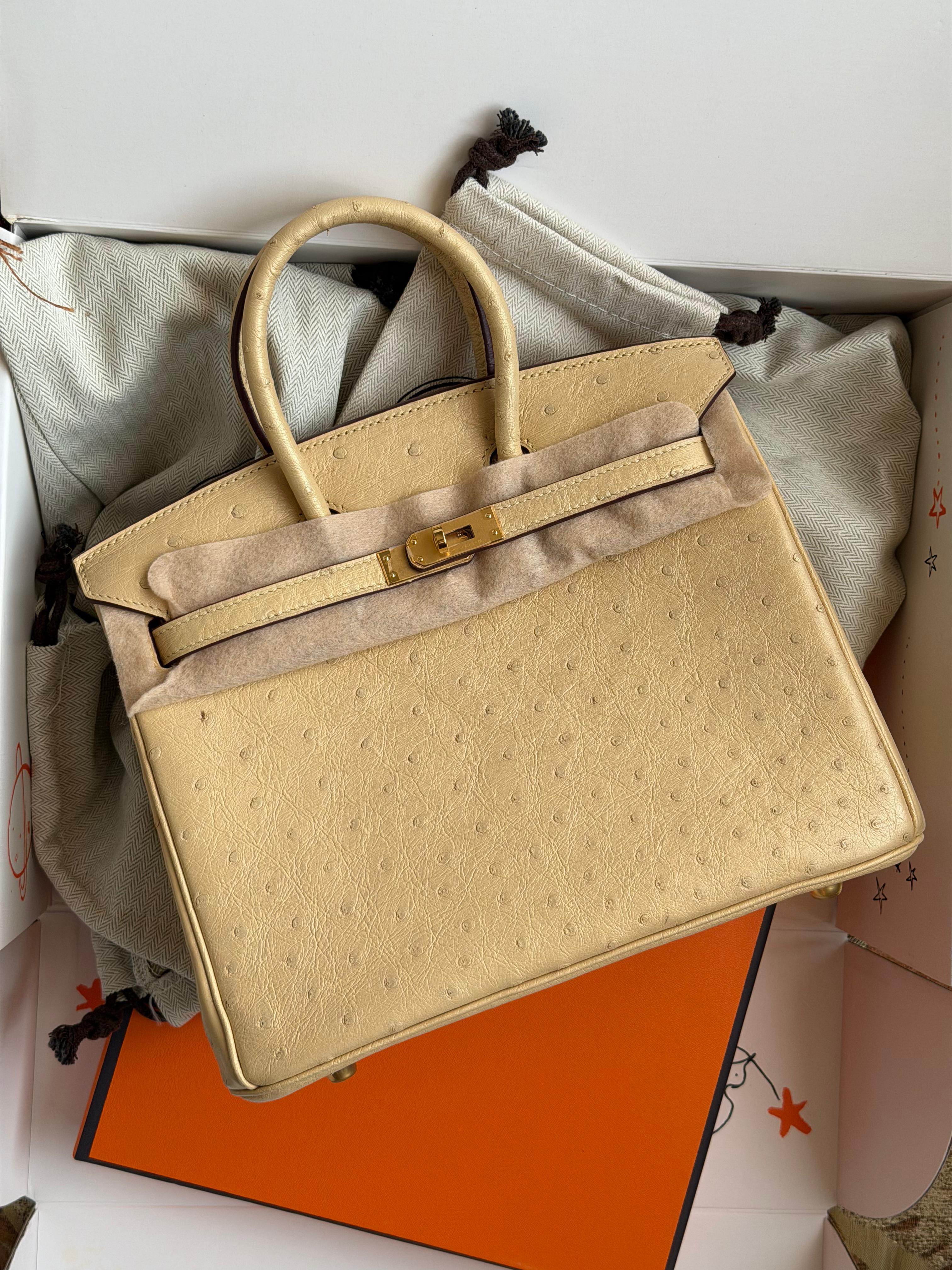 Hermes Birkin 25 cm In ostrich leather