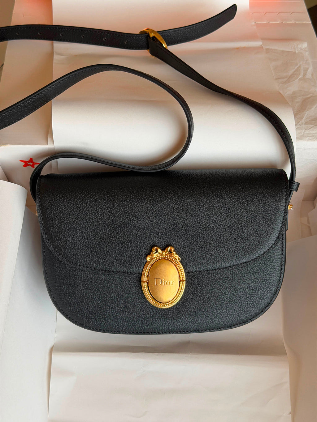 Dior Médaillon Flap Bag